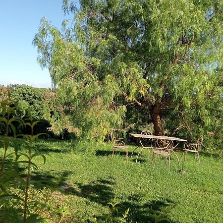 Agriturismo Podere Gianmaria 카스티글리온셀로 외부 사진