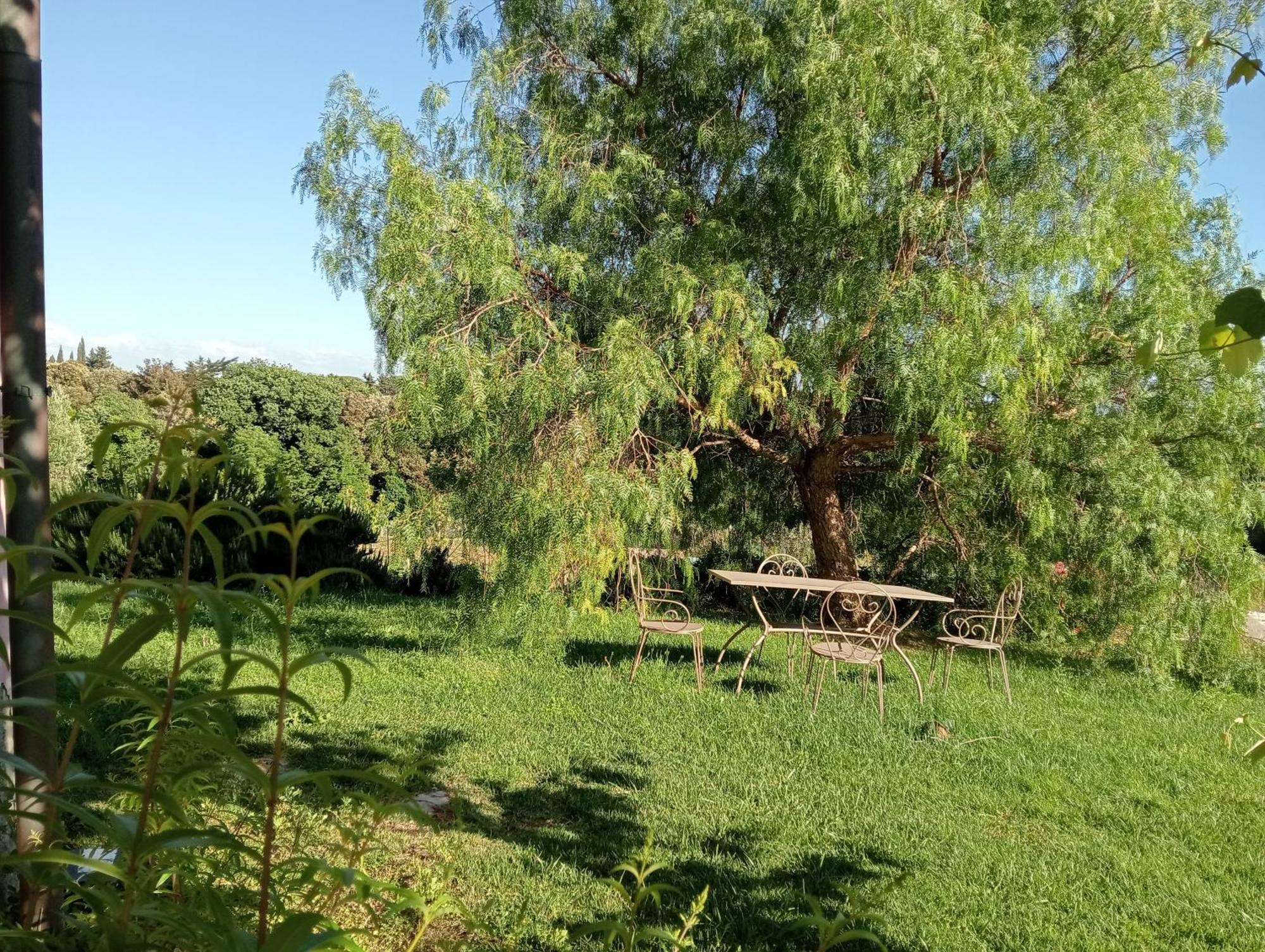 Agriturismo Podere Gianmaria 카스티글리온셀로 외부 사진